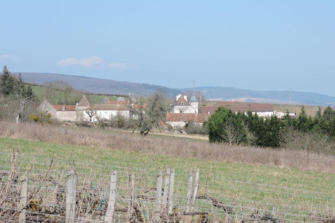 Photo of Others in Chassey-le-Camp