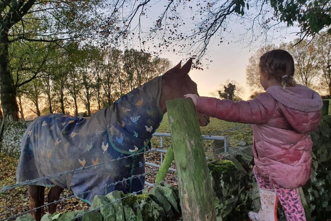 Photo of Others in Fenny Bentley