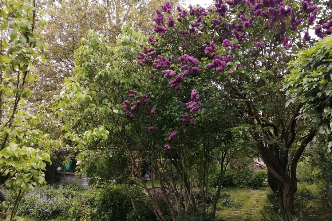 Photo of Others in Bonnebosq