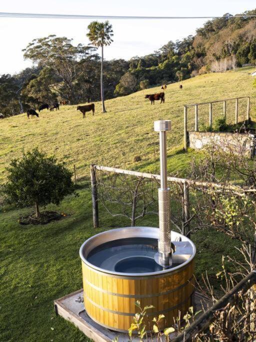 Photo of Others in Jamberoo