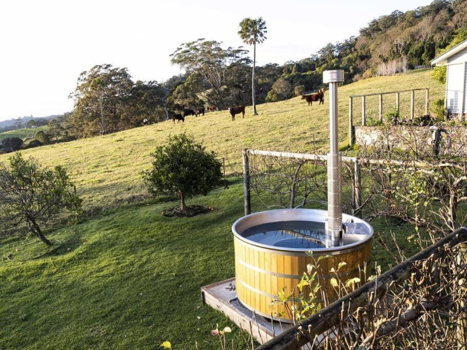 Photo of Others in Jamberoo