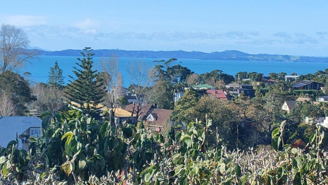 Photo of Others in Howick