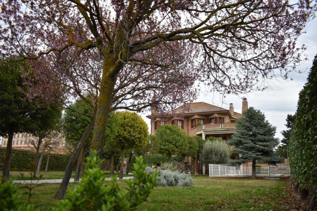 Photo of Buildings in Olite