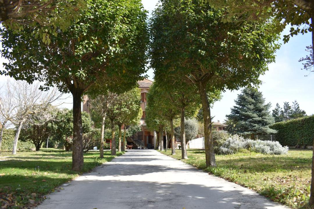 Photo of Others in Olite