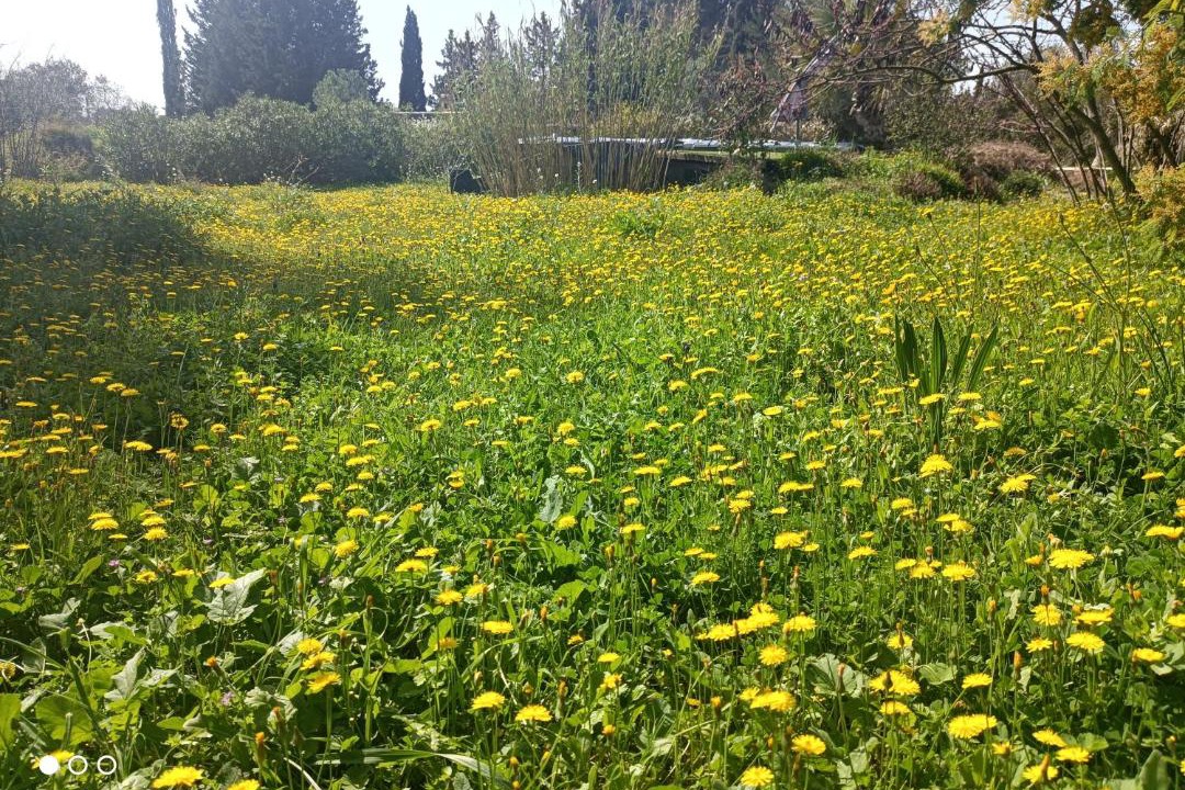 Photo of Others in Lunel