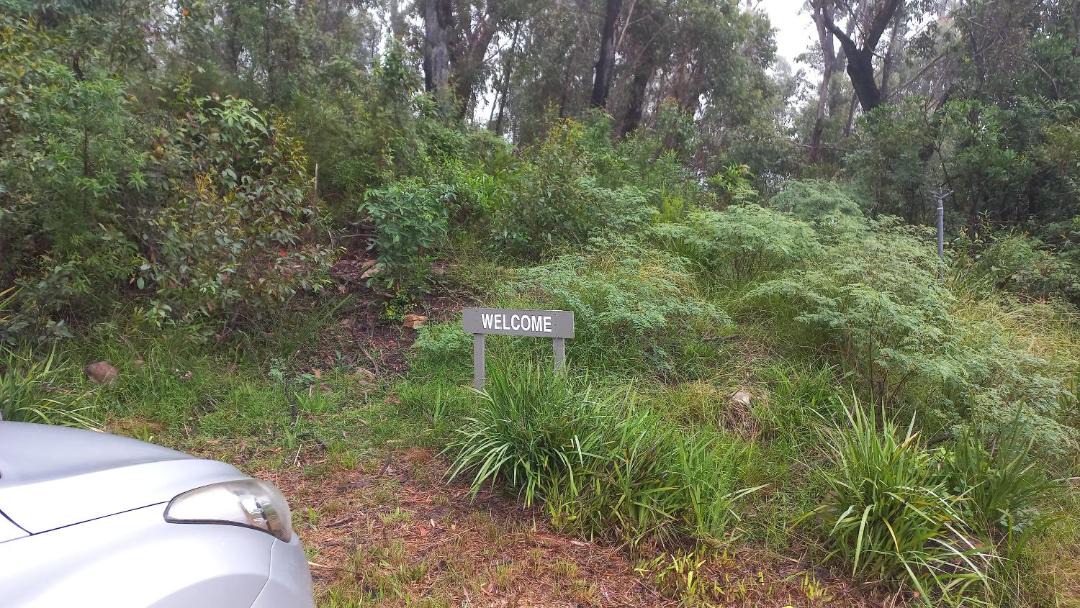 Photo of Others in Mount Tomah