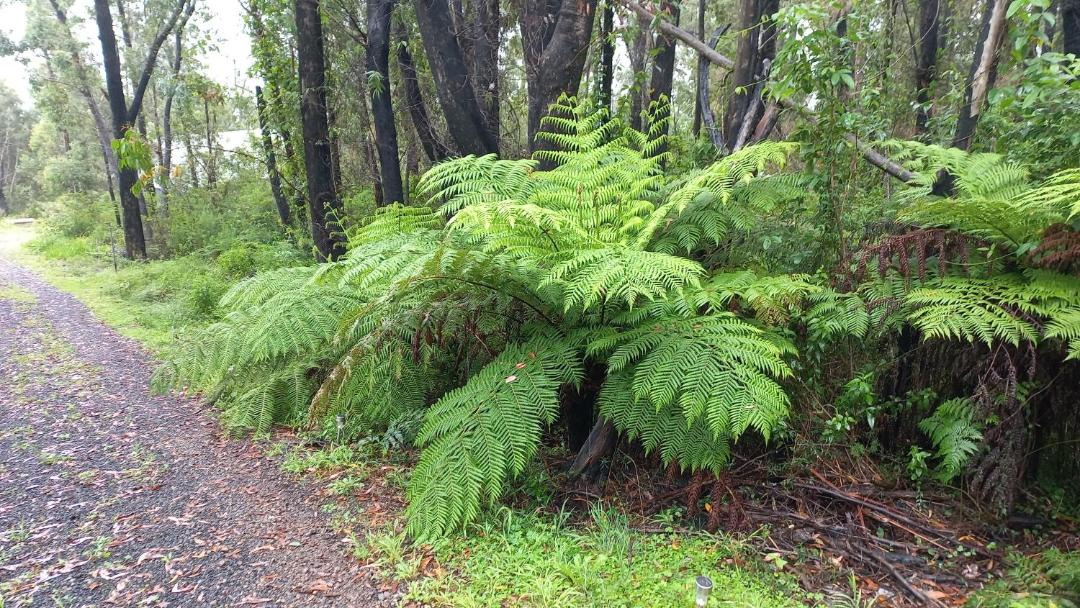 Photo of Others in Mount Tomah