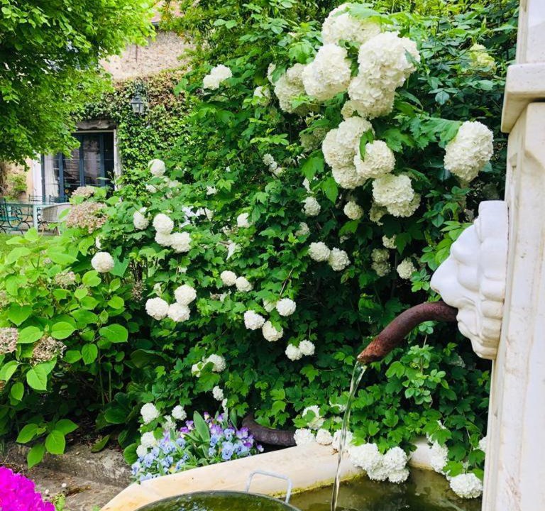 Photo of Others in Chailly-en-Biere