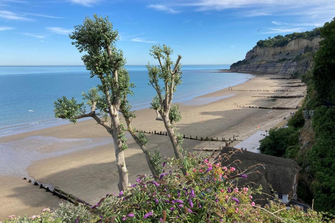 Photo of Others in Shanklin