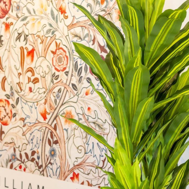 Photo of Others in Mount Albert