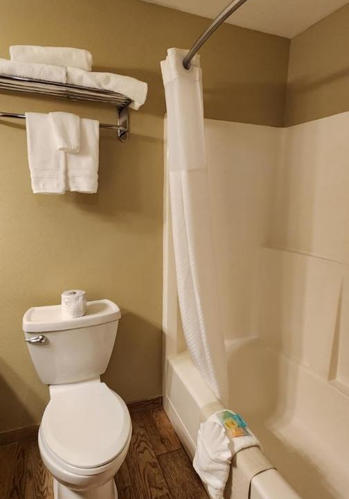 Photo of Others in Ashford