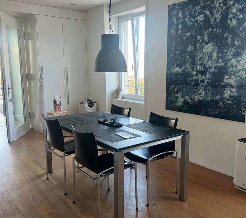 Photo of Others in Horgen District