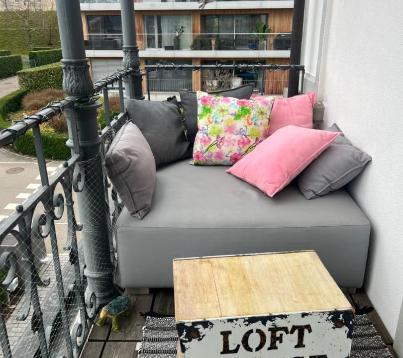 Photo of Others in Horgen District