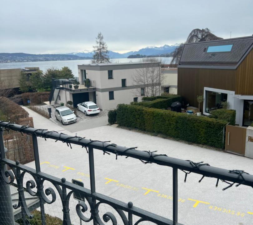 Photo of Others in Horgen District