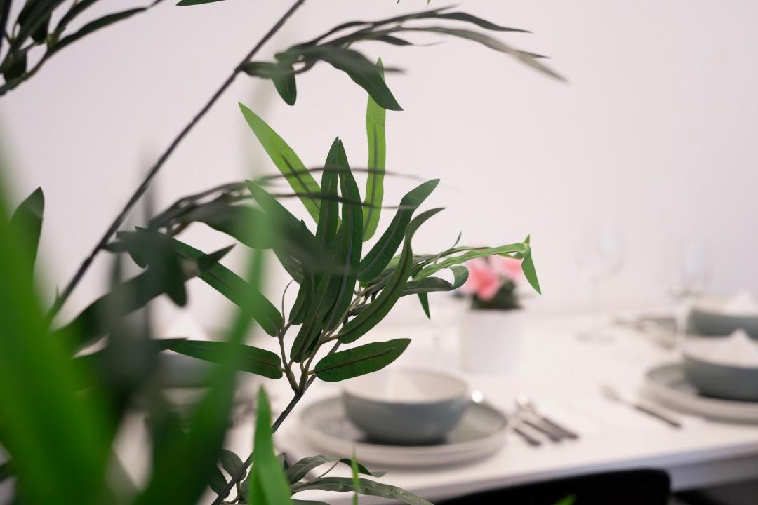 Photo of Others in Wishaw