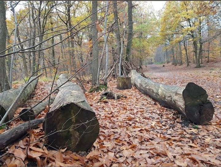 Photo of Others in Taverny