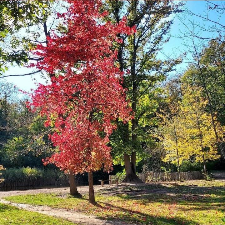 Photo of Others in Taverny