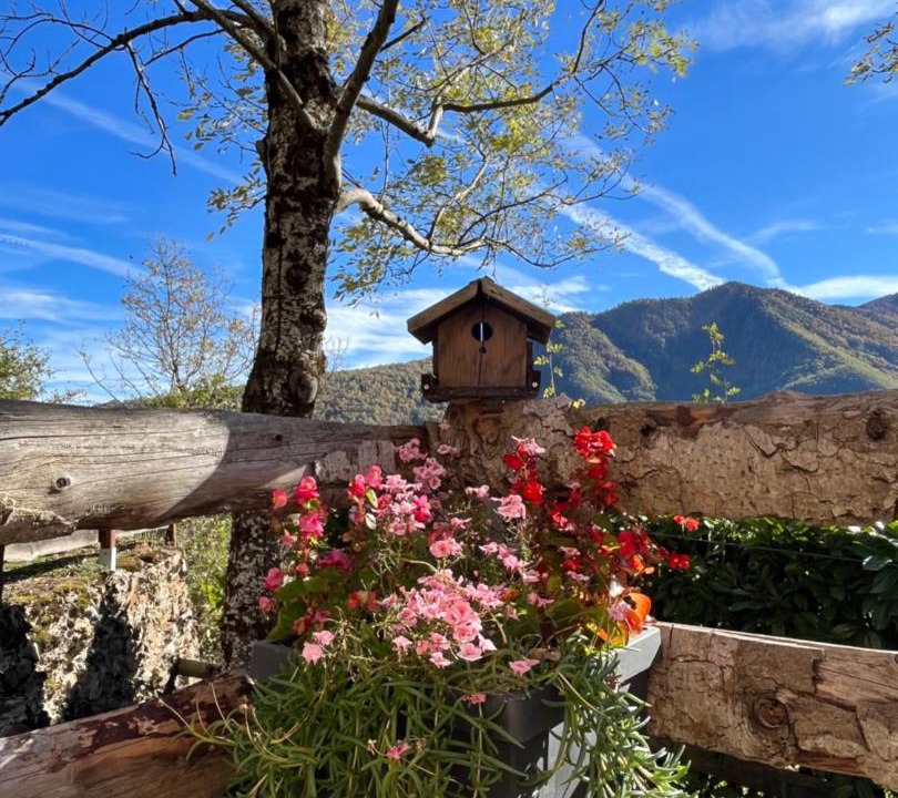 Photo of Others in Larcat