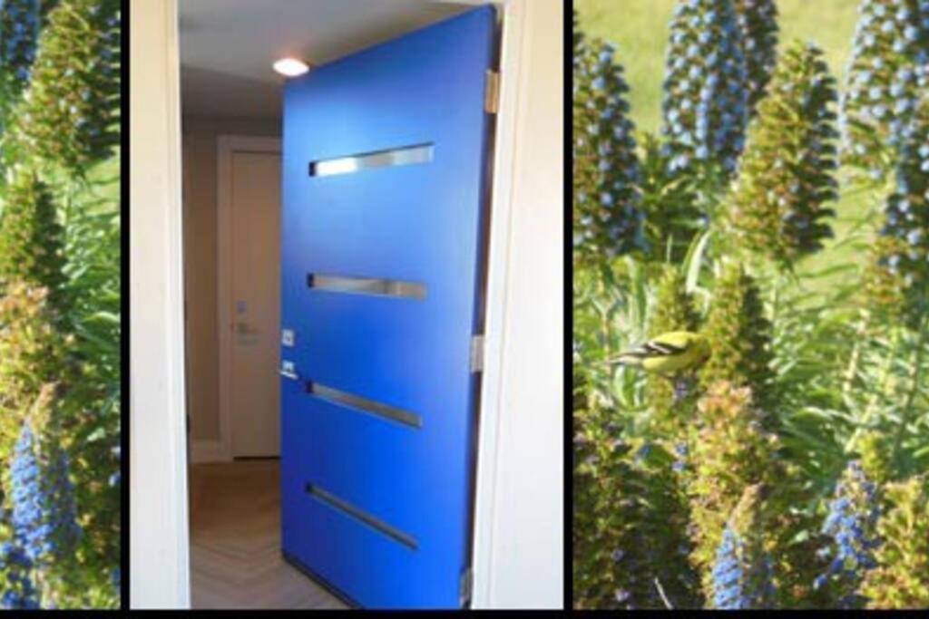 Photo of Others in Sereno del Mar