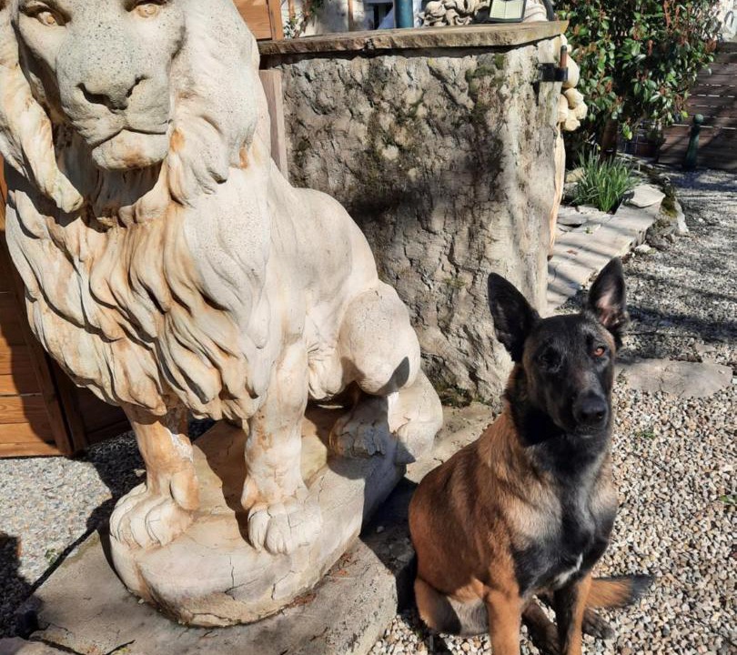 Photo of Others in Murs-et-Gelignieux