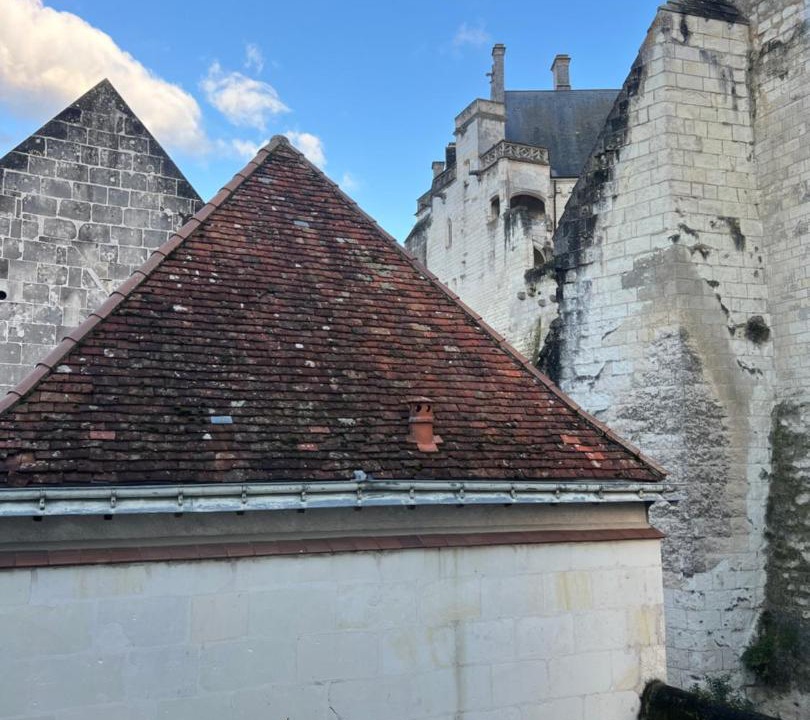 Photo of Others in Loches
