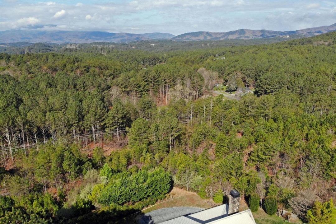 Photo of Others in Ducktown