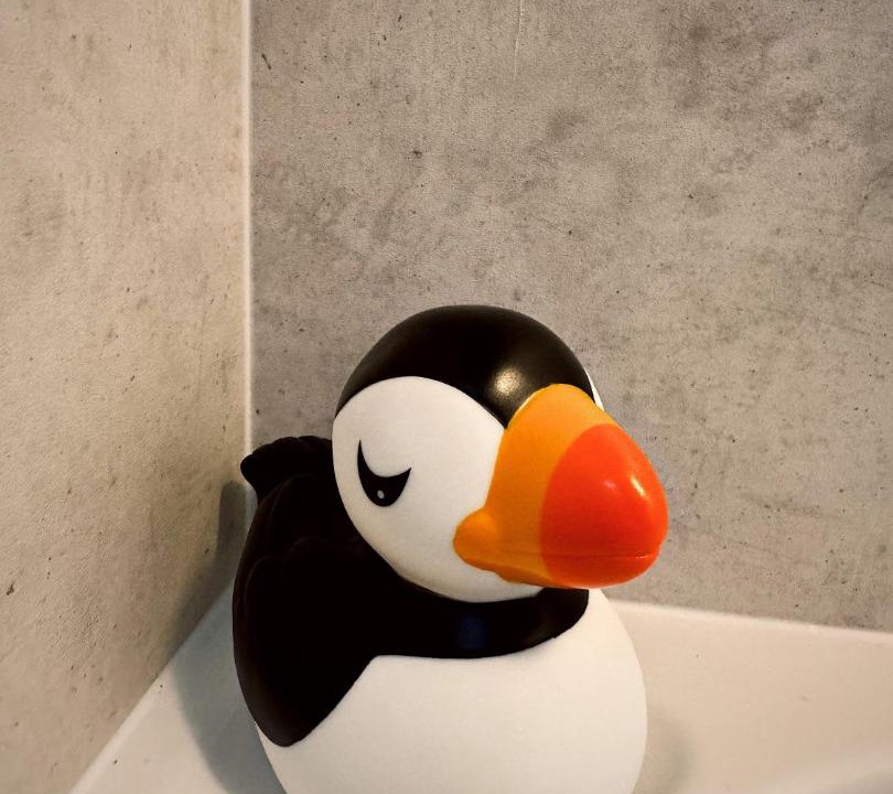 Photo of Others in Burghead