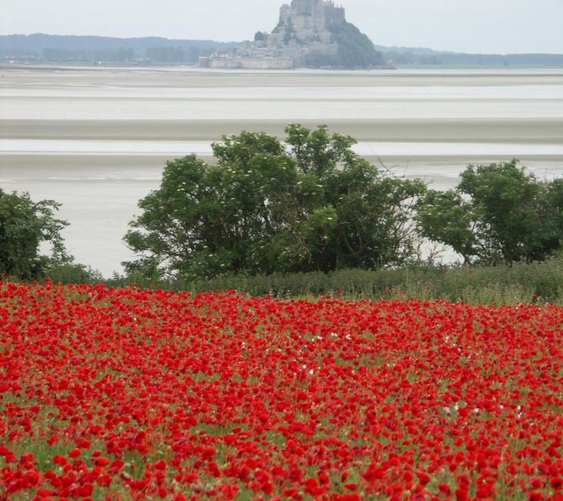 Photo of Others in Vains