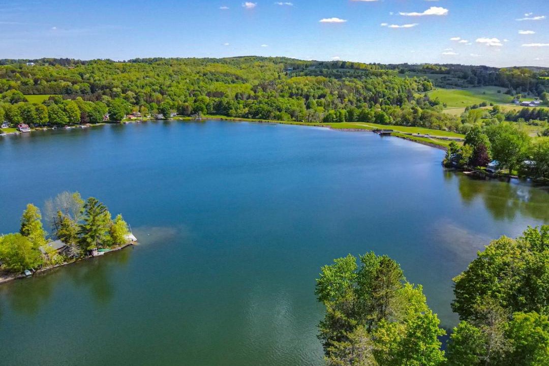 Photo of Others in Hamilton