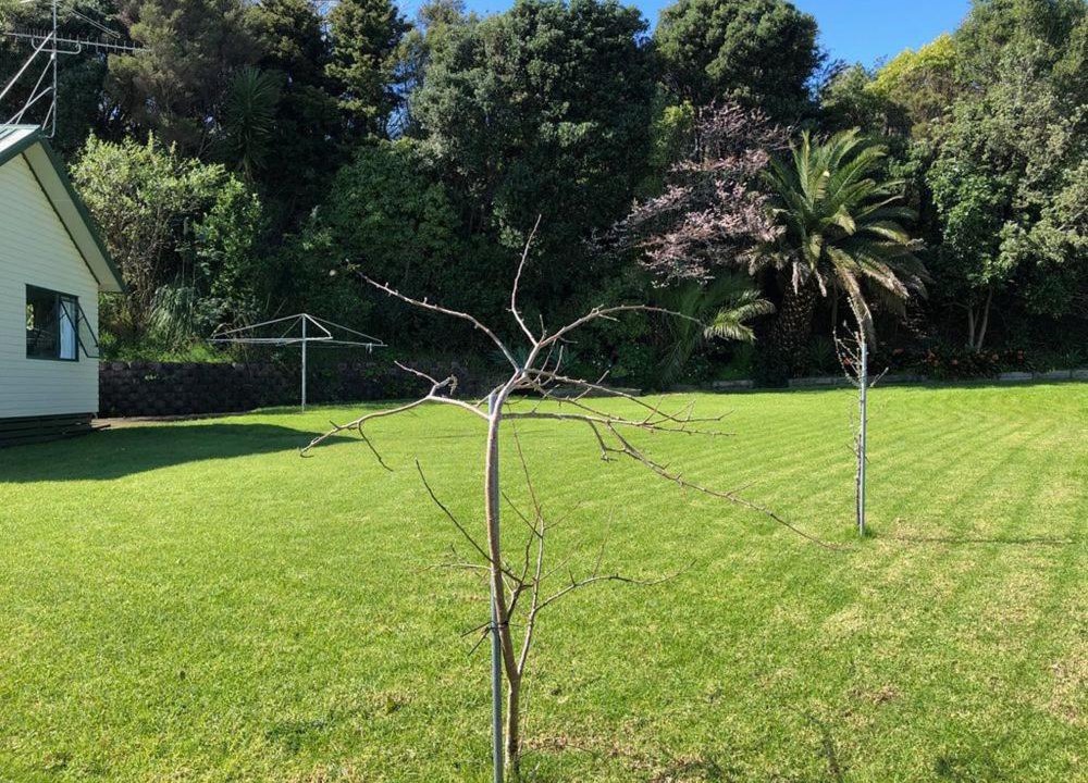 Photo of Others in Thames