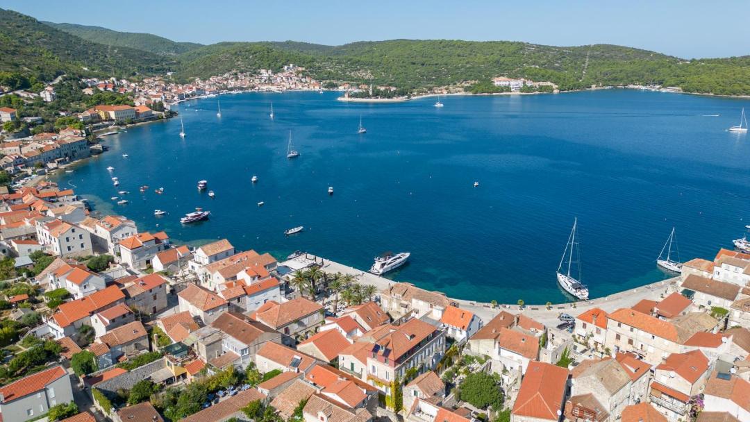 Photo of Others in Vis