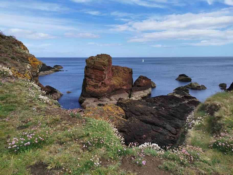 Photo of Others in Eyemouth