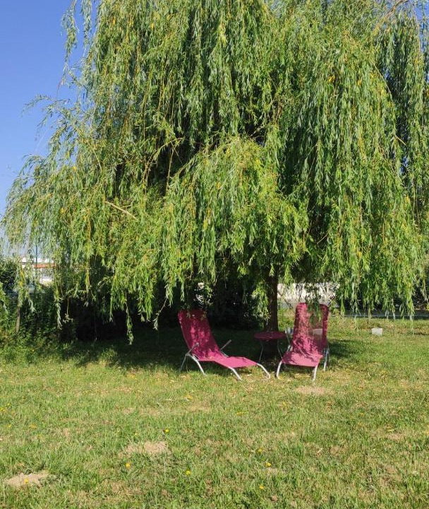 Photo of Others in La Reorthe