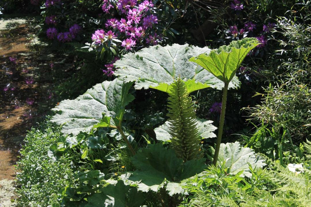 Photo of Others in Blisland