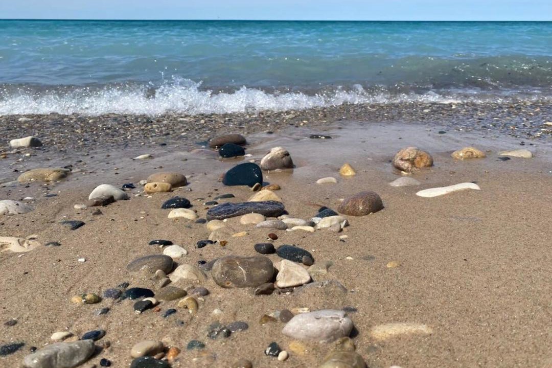 Photo of Others in Charlevoix