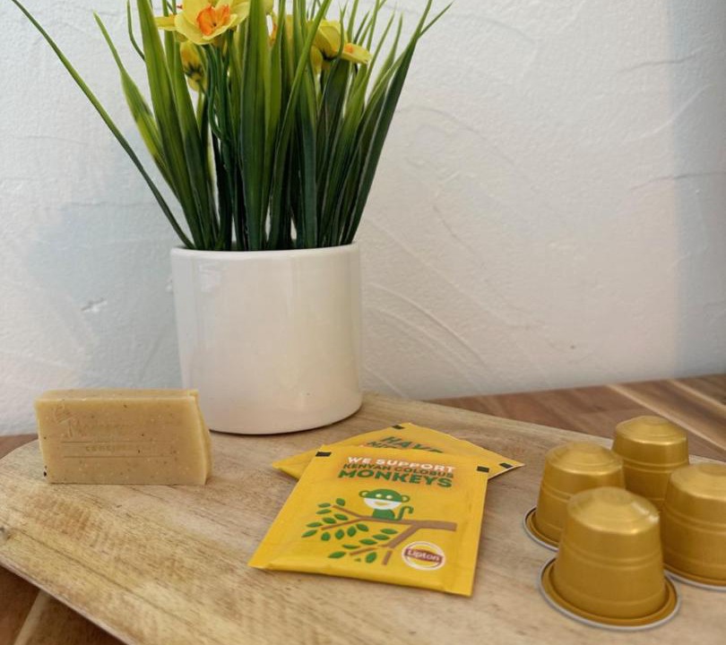 Photo of Others in Saintes