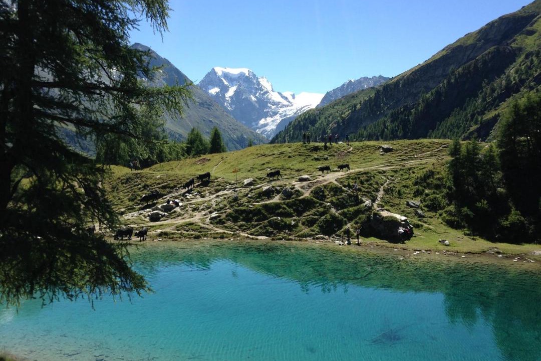 Photo of Others in Arolla