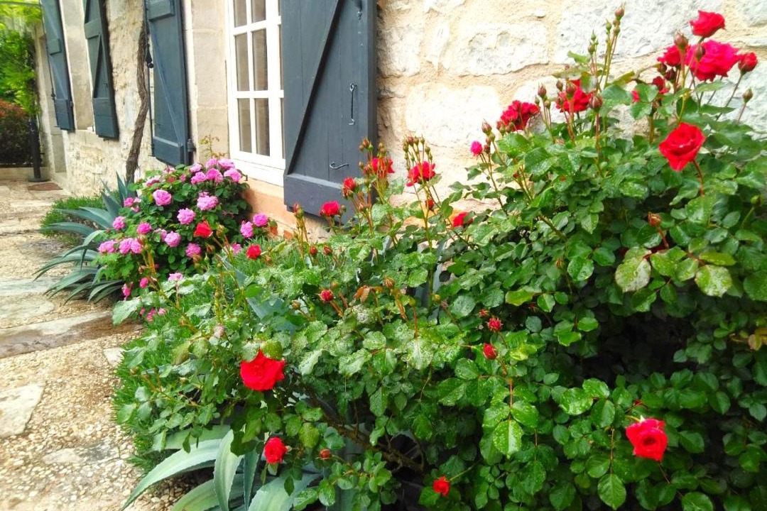 Photo of Others in Saint-Antonin Noble Val
