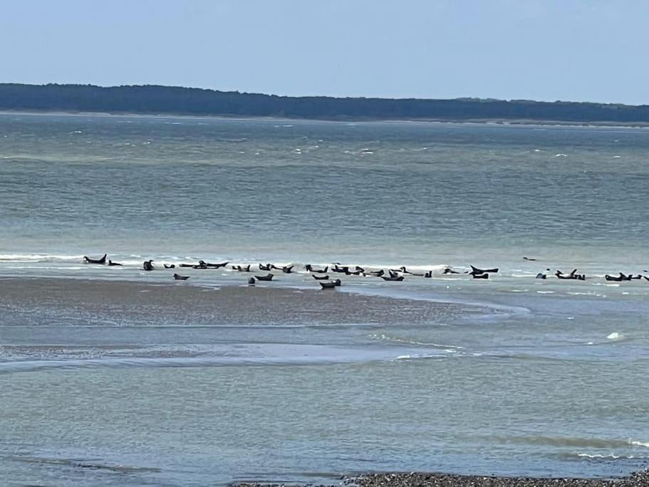 Photo of Others in Mers-les-Bains