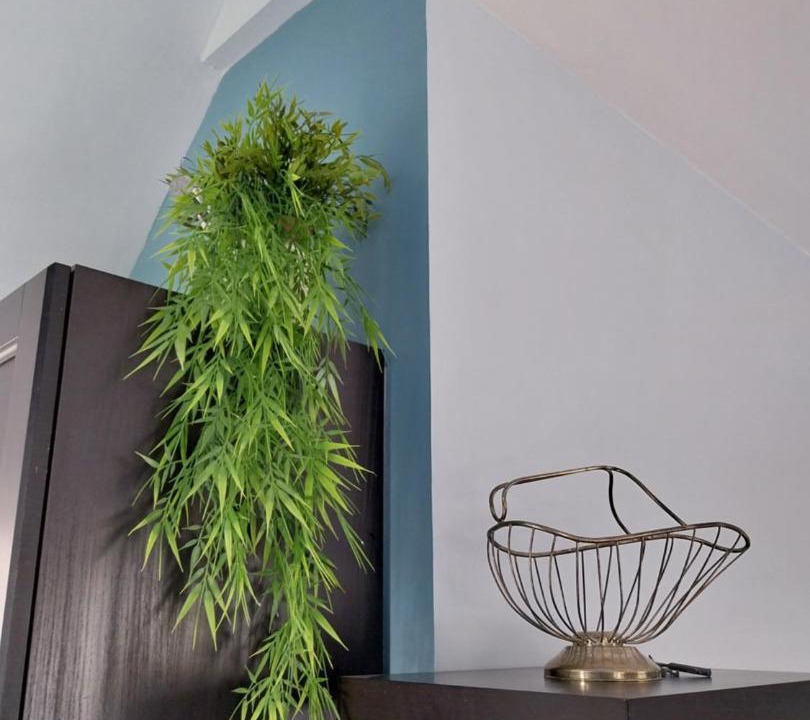 Photo of Others in Saint-Gatien-des-Bois