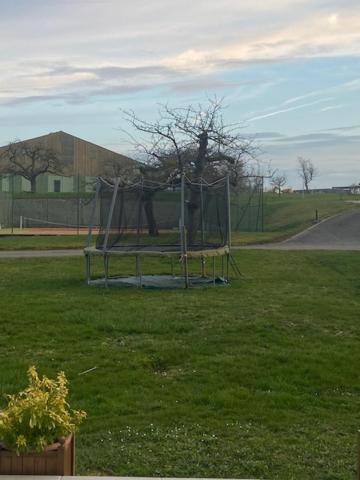 Photo of Others in Dossenheim-sur-Zinsel