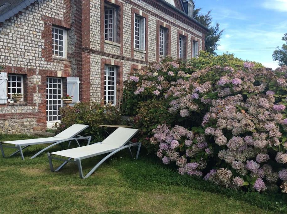 Photo of Others in Angerville-la-Martel