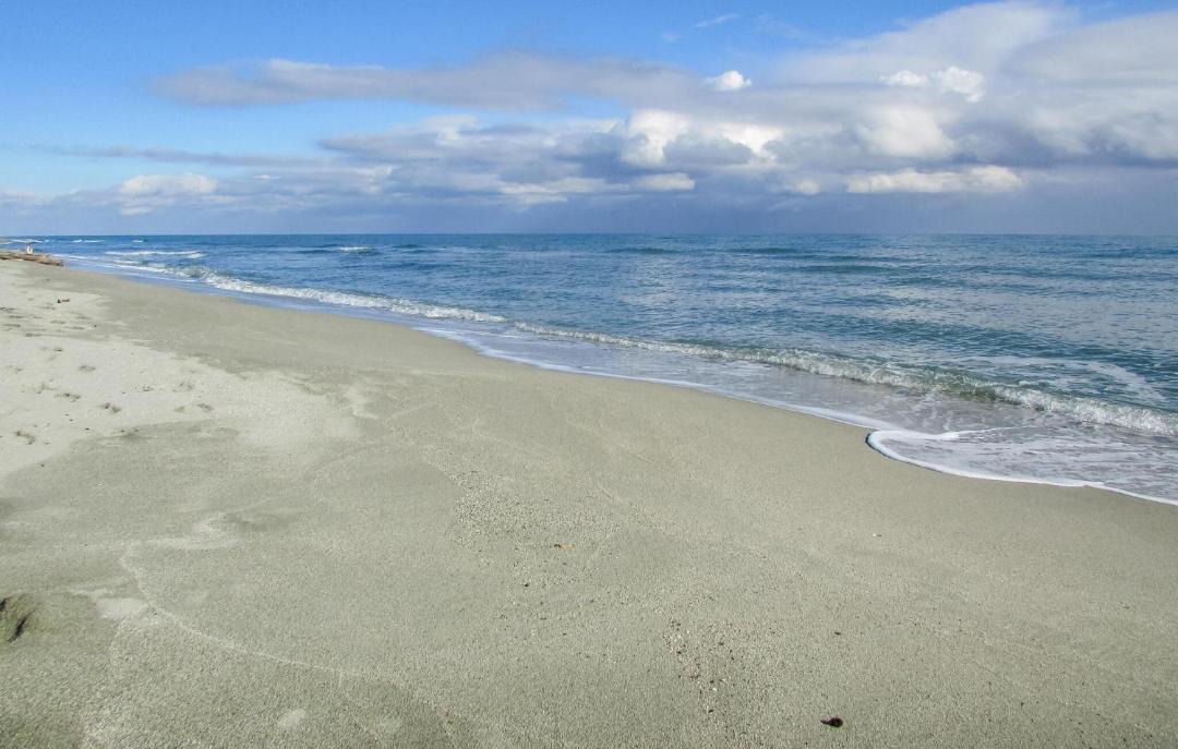 Photo of Others in Pancheraccia