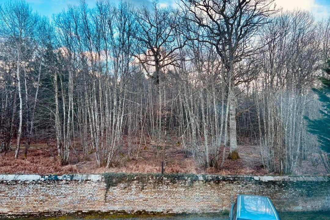 Photo of Others in Nancay