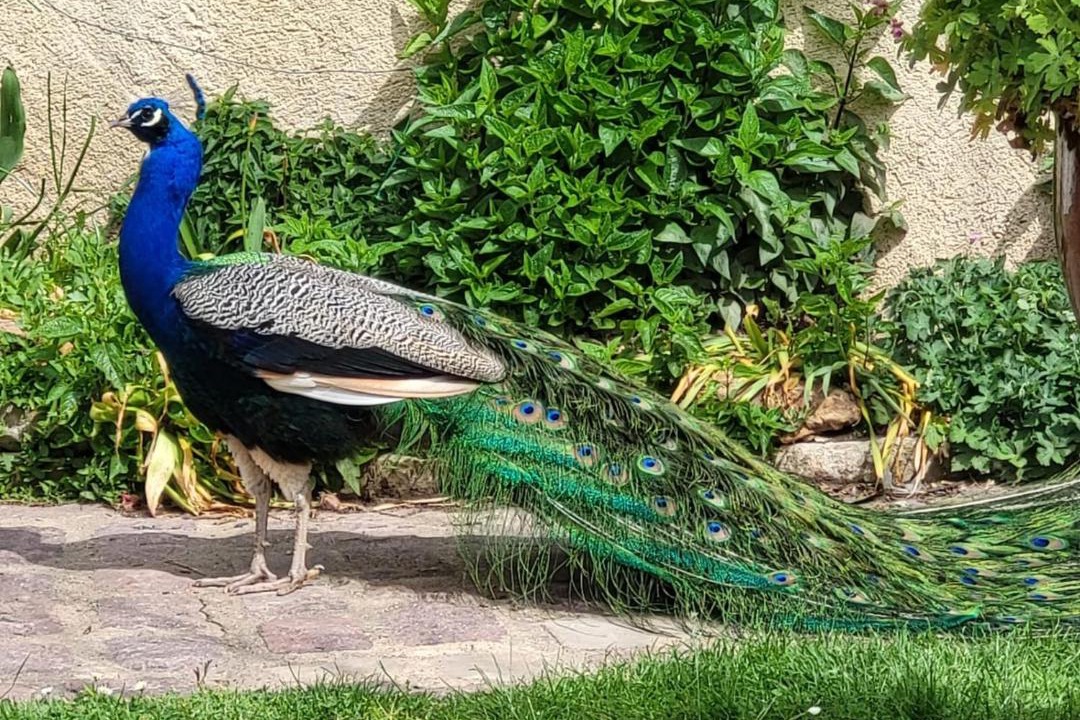 Photo of Others in Nouzilly