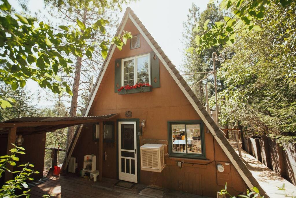 Photo of Buildings in Lakehead