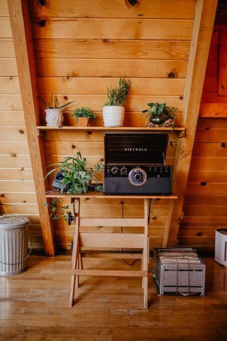 Photo of Others in Lakehead