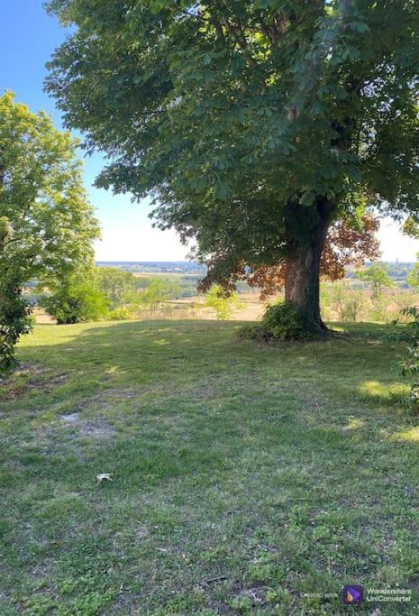 Photo of Others in Chaulgnes