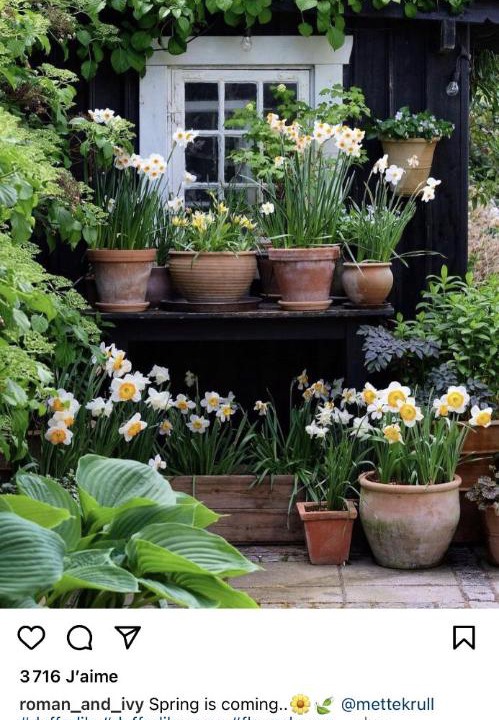 Photo of Others in Cany-Barville