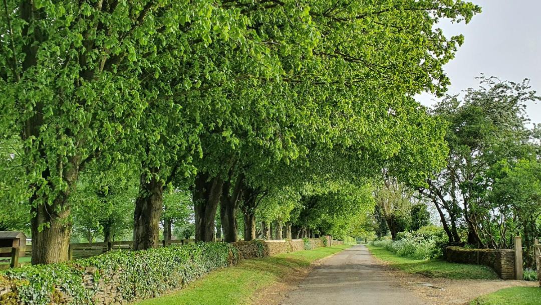 Photo of Others in Tetbury